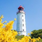 Breege - Insel Hiddensee